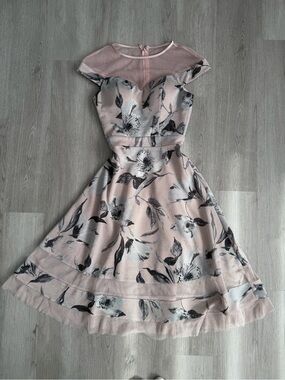 Floral Mesh Yoke Pink Fit-and-Flare Dress